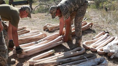 Сапери інженерні підрозділи полігон міни контрнаступ Сапери інженерні підрозділи полігон міни контрнаступ