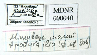 На Тернопільщині оцифровують колекцію природного заповідника На Тернопільщині оцифровують колекцію природного заповідника