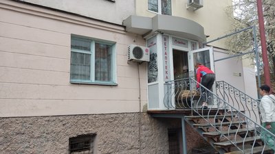 У Полтаві за тиждень безкоштовно стерилізували 70 безпритульних тварин
