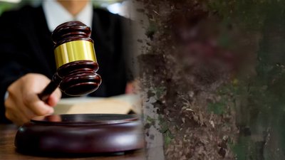 Чернігівку, яка на смерть забила вагітну їжачиху, засудили до 5 років ув'язнення