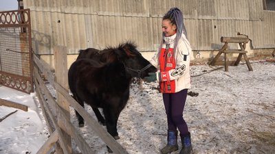 Щоб утримувати врятованих тварин, почала виготовляти сири: на Чернігівщині створили зоодім Щоб утримувати врятованих тварин, почала виготовляти сири: на Чернігівщині створили зоодім