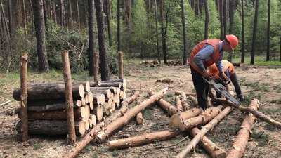 "Краще забезпечуватись дровами зараз": у лісгоспах Полтавщини заготовляють дрова "Краще забезпечуватись дровами зараз": у лісгоспах Полтавщини заготовляють дрова