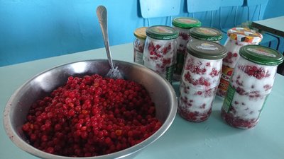 Суміш калини та цукру Суміш калини та цукру