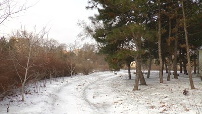 Сніг та вітер: яка ситуація на дорогах області та коли потеплішає в Миколаєві Сніг та вітер: яка ситуація на дорогах області та коли потеплішає в Миколаєві