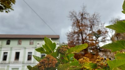 "Пориви до 20 м/с": синоптики попереджають про сильний вітер у Харківській області