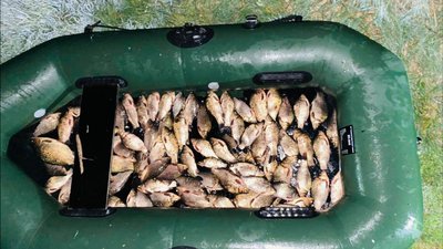 У Новомосковському районі виявили двох ймовірних браконьєрів з уловом на майже 150 тис. грн У Новомосковському районі виявили двох ймовірних браконьєрів з уловом на майже 150 тис. грн