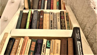 Російські книжки – на макулатуру, гроші – армії. У Кропивницькому збирають російськомовні книжки