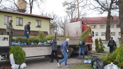 Дубами і калинами з Черкащини озеленюватимуть прифронтову Авдіївку Дубами і калинами з Черкащини озеленюватимуть прифронтову Авдіївку