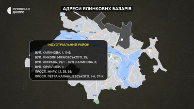 У Дніпрі стартував продаж ялинок: ціни та де можна прибдати У Дніпрі стартував продаж ялинок: ціни та де можна прибдати