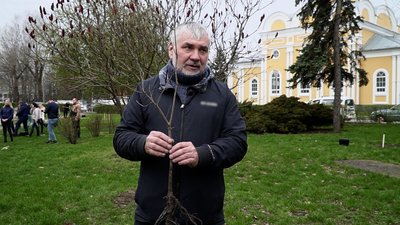У Чернігові висадили "Алею Незламності" з 27 шевченківських дубів У Чернігові висадили "Алею Незламності" з 27 шевченківських дубів