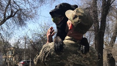 Шукає зброю та допомагає у затриманні. В Одесі на блокпостах разом з військовими несе службу пес Кай Шукає зброю та допомагає у затриманні. В Одесі на блокпостах разом з військовими несе службу пес Кай