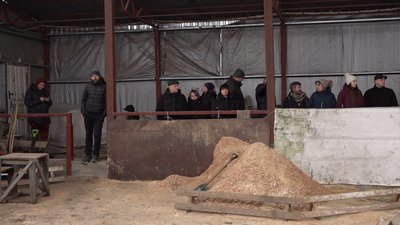 Демонстрували свою вправність: на Черкащині відбулись кінні змагання Демонстрували свою вправність: на Черкащині відбулись кінні змагання
