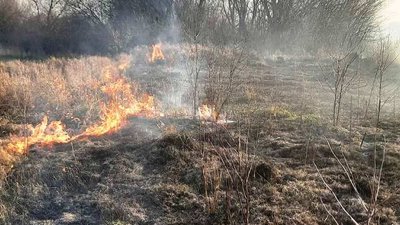 Від початку року на Полтавщині сталося 700 загорянь на відкритій території