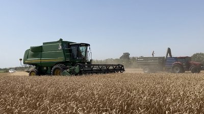 Врожай на розмінованому полі збирають у Барвінківській громаді на Харківщині: жнива 2023 Врожай на розмінованому полі збирають у Барвінківській громаді на Харківщині: жнива 2023