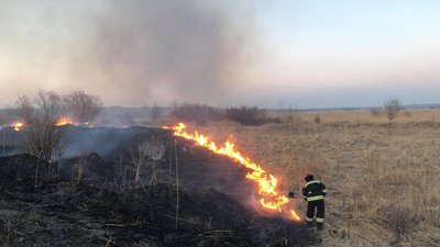 На Франківщині за одну добу зафіксували 84 пожежі сухої трави