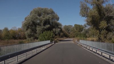 "Прив'язували мінометні міни, щоб більший радіус ураження був". Як окупанти мінували село Залиман на Харківщині "Прив'язували мінометні міни, щоб більший радіус ураження був". Як окупанти мінували село Залиман на Харківщині