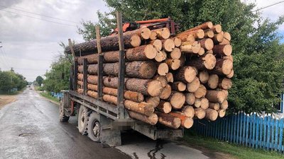 На Рівненщині деталь від лісовоза влучила в пішохода. Це третій випадок за понад рік