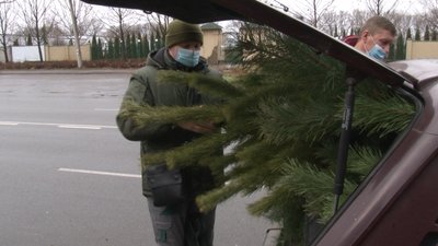 Виявили двох порушників: у Черкасах екоінспектори перевіряли пункти продажу ялинок Виявили двох порушників: у Черкасах екоінспектори перевіряли пункти продажу ялинок