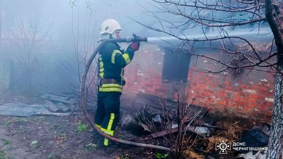 Пожежі на Чернігівщині: протягом минулої доби вогнеборці погасили 5 пожеж