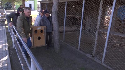 До вінницького зоопарку евакуювали хижаків з Одещини