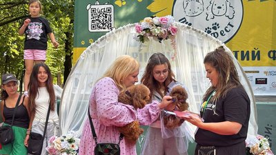 ПЕТ М-Фест, фестиваль, безпритульні, тварини, песики, котики, весілля