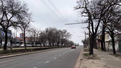 З початку повномасштабної війни в Миколаєві демонтували близько 1500 тополь З початку повномасштабної війни в Миколаєві демонтували близько 1500 тополь