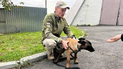 В Ужгороді тренують собак для каністерапії. Що відомо В Ужгороді тренують собак для каністерапії. Що відомо