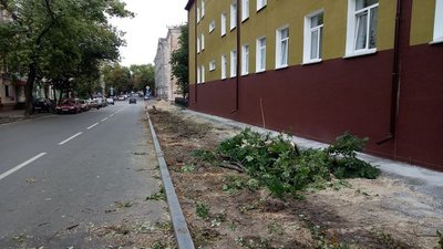 У Чернігові під час ремонту на Гончій спиляли дерева У Чернігові під час ремонту на Гончій спиляли дерева