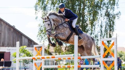 Спали у конюшнях, щоб заспокоювати коней під час вибухів. Як Сумська кінна школа пережила воєнні дії в області