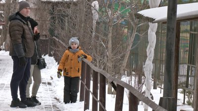 Зима в Луцькому зоопарку: як живуть тварини у відкритих і "теплих" вольєрах Зима в Луцькому зоопарку: як живуть тварини у відкритих і "теплих" вольєрах