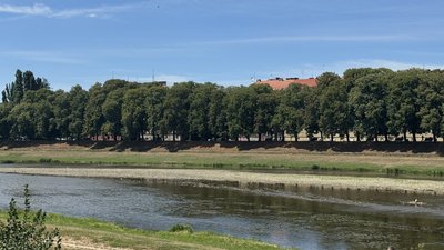 Кораблики на Ужі: що пропонує ужгородцям новий проєкт