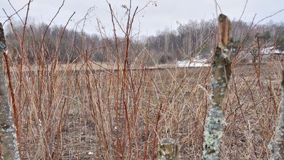 "Гниле місце". Як живуть люди у селі, яке розташоване на болотах на Сумщині "Гниле місце". Як живуть люди у селі, яке розташоване на болотах на Сумщині