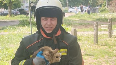 Котика врятували в Запоріжжі