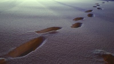 Снігопад у Дніпрі. Фоторепортаж Снігопад у Дніпрі. Фоторепортаж