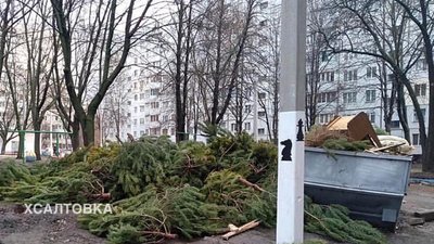 У кожному районі Дніпра відкрили пункти прийому новорічних ялинок – мерія