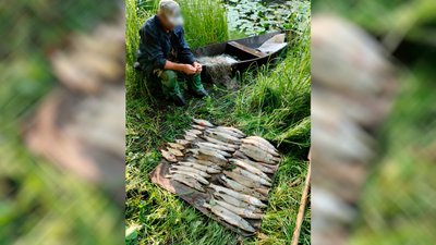 На Чернігівщині чоловік наловив 15 кілограмів риби на понад 100 тисяч гривень На Чернігівщині чоловік наловив 15 кілограмів риби на понад 100 тисяч гривень