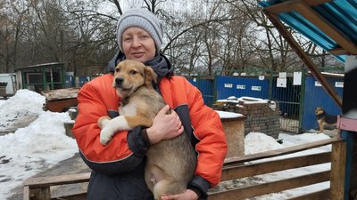 "Чіп, Дейл, Гаєчка та Мушка": до Полтави евакуювали чотирьох цуценят з Курахового "Чіп, Дейл, Гаєчка та Мушка": до Полтави евакуювали чотирьох цуценят з Курахового