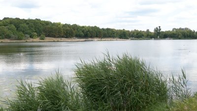 "Беру капелюшок, окуляри й водичку": Синоптики прогнозують аномальну спеку на Рівненщині "Беру капелюшок, окуляри й водичку": Синоптики прогнозують аномальну спеку на Рівненщині