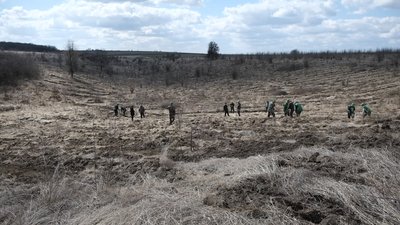 З початку квітня лісівники Вінниччини висадили 700 гектарів лісів З початку квітня лісівники Вінниччини висадили 700 гектарів лісів
