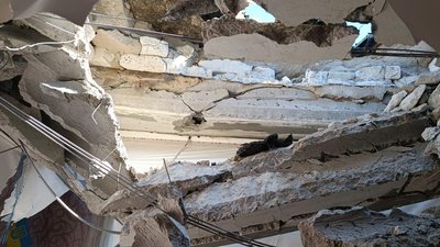 документують документують