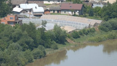 Перші на Прикарпатті помідори та курорт у котловині Дністра. Історія села Городниця Перші на Прикарпатті помідори та курорт у котловині Дністра. Історія села Городниця
