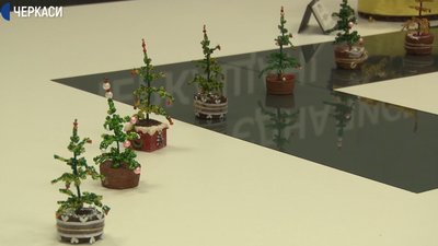 У Черкасах люди з інвалідністю виготовили новорічні ялинки
