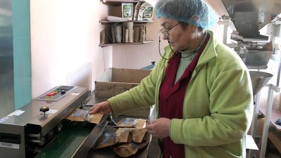 У Глухові нарощують обсяги перероблювання коноплі У Глухові нарощують обсяги перероблювання коноплі