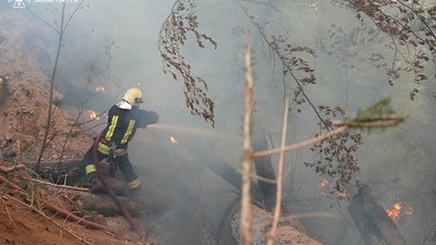 Ліквідацію лісової пожежі у Мукачівському районі ускладнюють круті схили