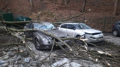 Штормове попередження. У Львові ремонтні бригади усувають наслідки сильного вітру Штормове попередження. У Львові ремонтні бригади усувають наслідки сильного вітру
