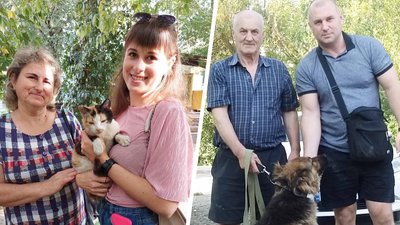 "Думали, що кішка загинула". На Харківщині господарі знайшли загублених через війну тварин