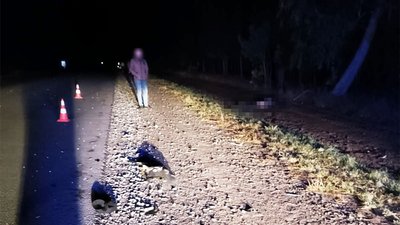 У Новоборівській громаді на Житомирщині у ДТП загинув пішохід У Новоборівській громаді на Житомирщині у ДТП загинув пішохід