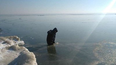Рятувальники у Приморську врятували лебедя, примерзлого до криги Рятувальники у Приморську врятували лебедя, примерзлого до криги