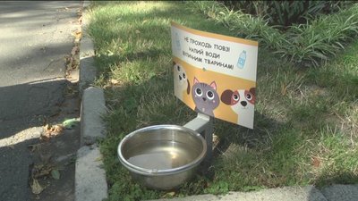На вулицях Вінниці встановлюють поїлки для вуличних тварин На вулицях Вінниці встановлюють поїлки для вуличних тварин