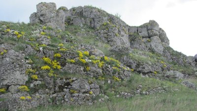 Музикова скала, товтри, скелі, гори, тернопільщина